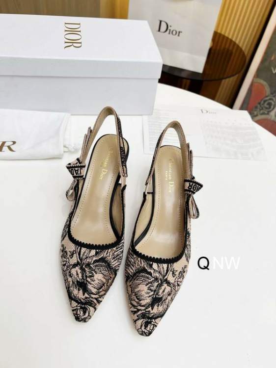 Picture of Dior Shoes _SKUDiorsz35-40NW07113801